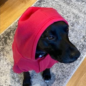 Meet your Posher, Jodi